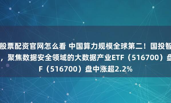 股票配资官网怎么看 中国算力规模全球第二！国投智能20CM涨停，聚焦数据安全领域的大数据产业ETF（516700）盘中涨超2.2%